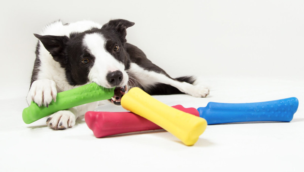 WO Design - USA Made Dog Toys Helping Orphaned Children in Ethiopia blog post cover image
